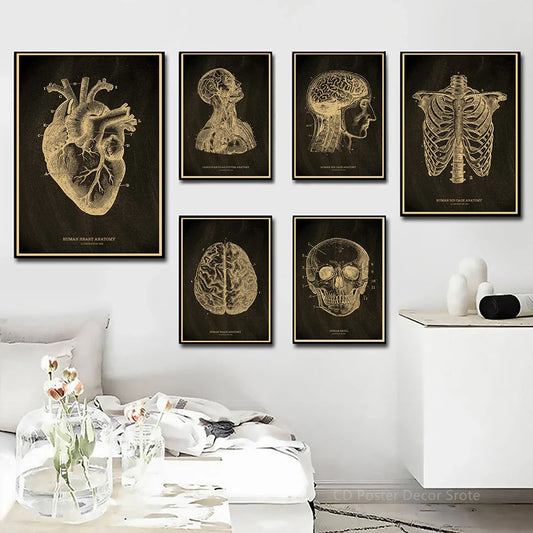 Heart/Skull/Brain Kraft Paper Poster Chalkboard – Anatomical Skeleton Vintage Medical Art Wall Painting