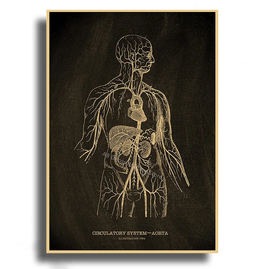 Heart/Skull/Brain Kraft Paper Poster Chalkboard – Anatomical Skeleton Vintage Medical Art Wall Painting
